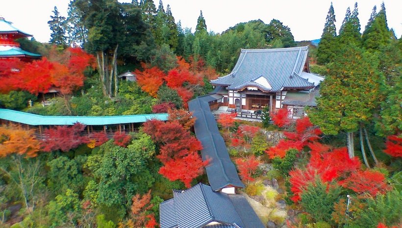 3.高野寺.jpg