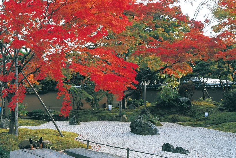 松島と秋保温泉を巡る便利な定期観光バス「松島紅葉めぐり」が運行