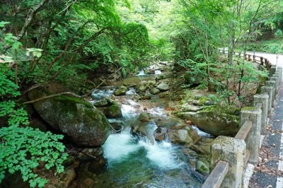 08●DSC06271.jpg