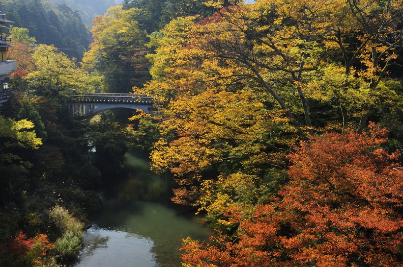 05_yamanaka-photo386.jpg