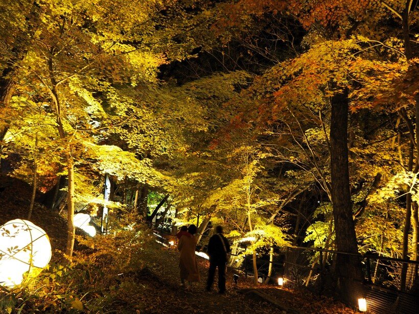 【一度は見たい紅葉百景】仙台の奥座敷・秋保温泉でライトアップイベント「アキウルミナ」開催