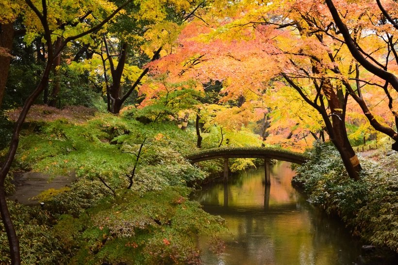 2_土橋(山陰橋).jpg