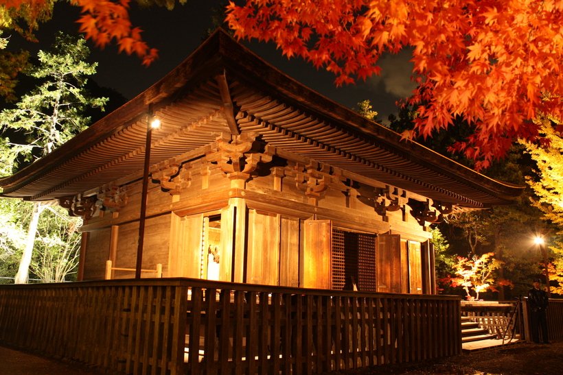 1_紅葉ライトアップ04.jpg
