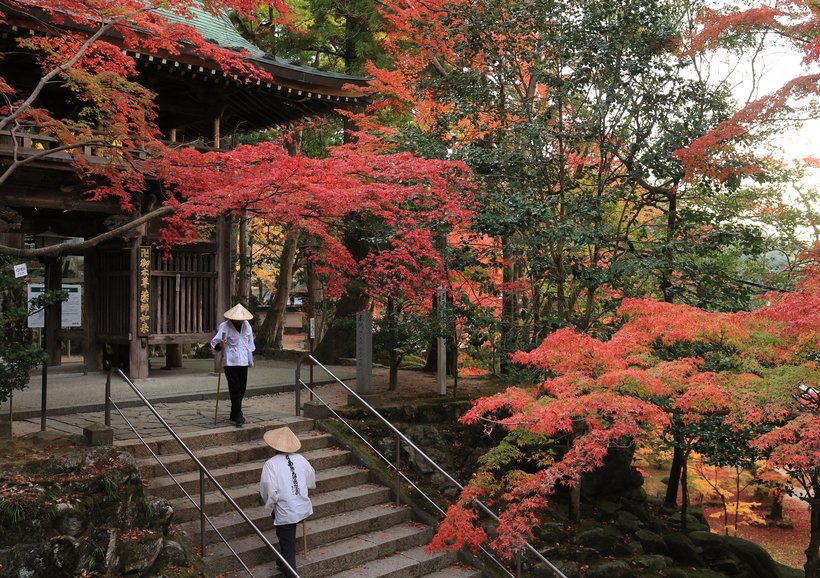 8_大窪寺紅葉 (2).jpg