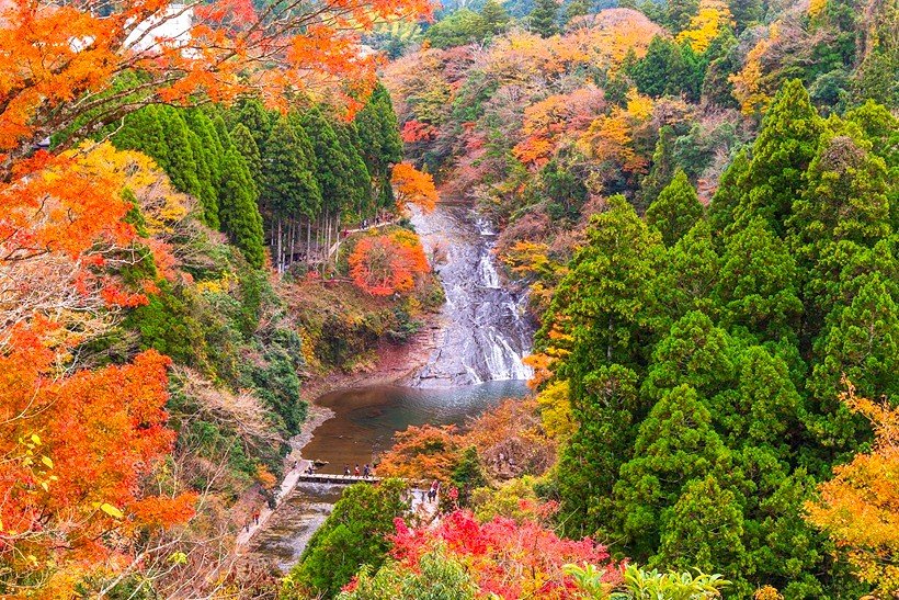 展望台からふかんする粟又の滝(写真/ピクスタ)