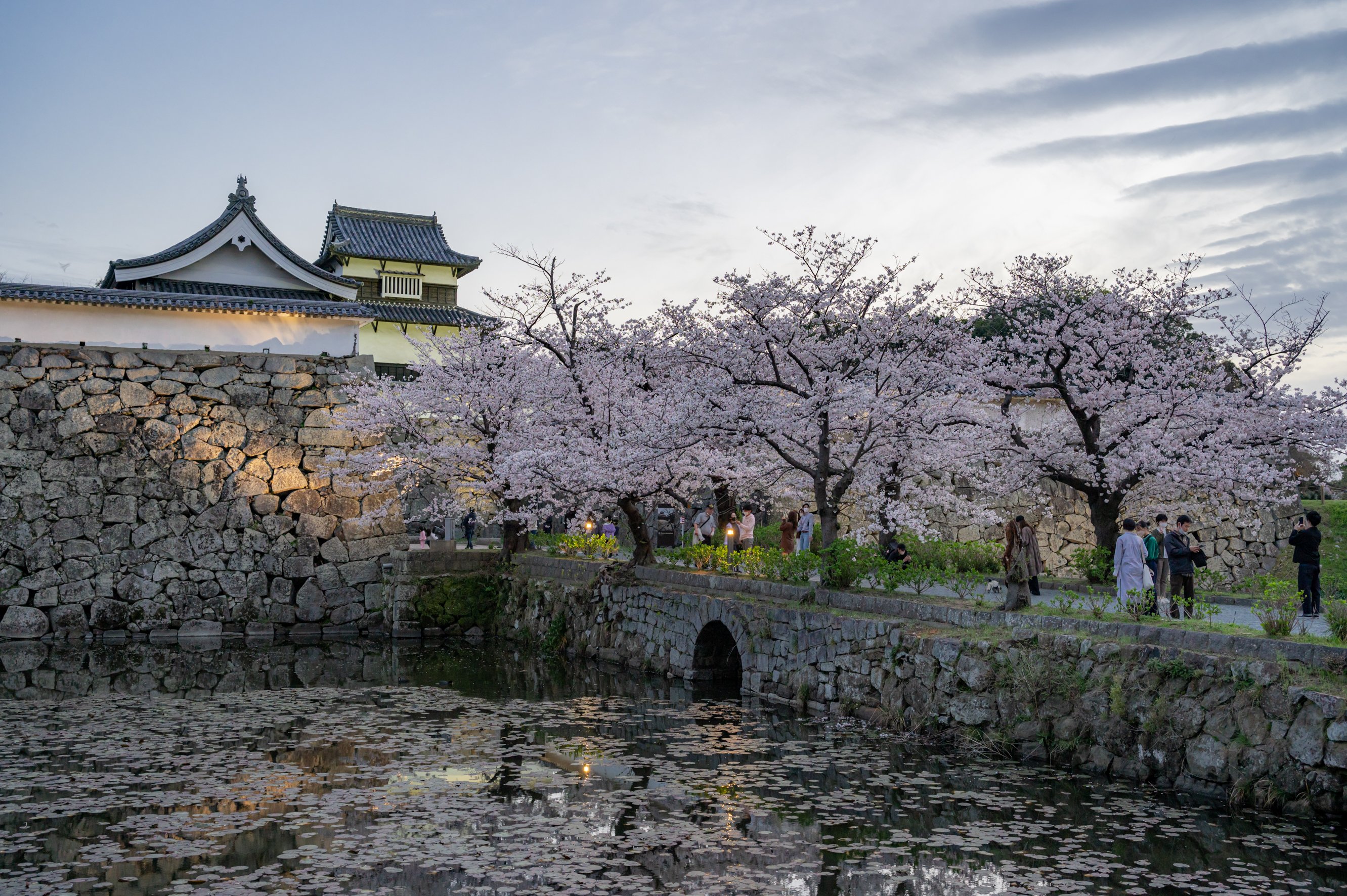 【伊東潤の 英雄たちを旅する】第26回　黒田官兵衛と福岡