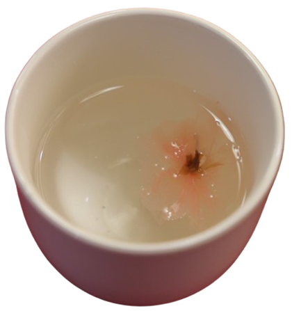 ●28はこれ_28_5S2A2443-removebg-preview (1).png