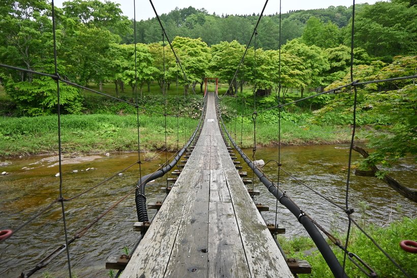 ５　つり橋DSC_3102.jpg