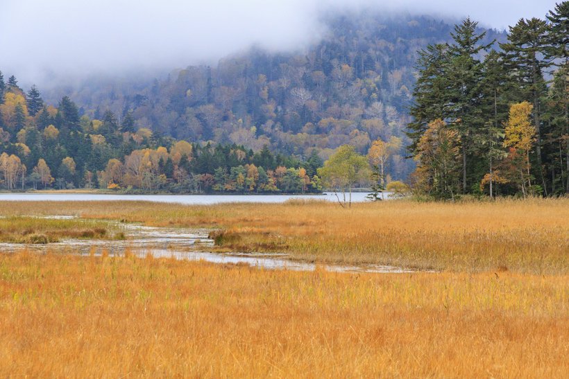 7 pixta_119871275_M.jpg