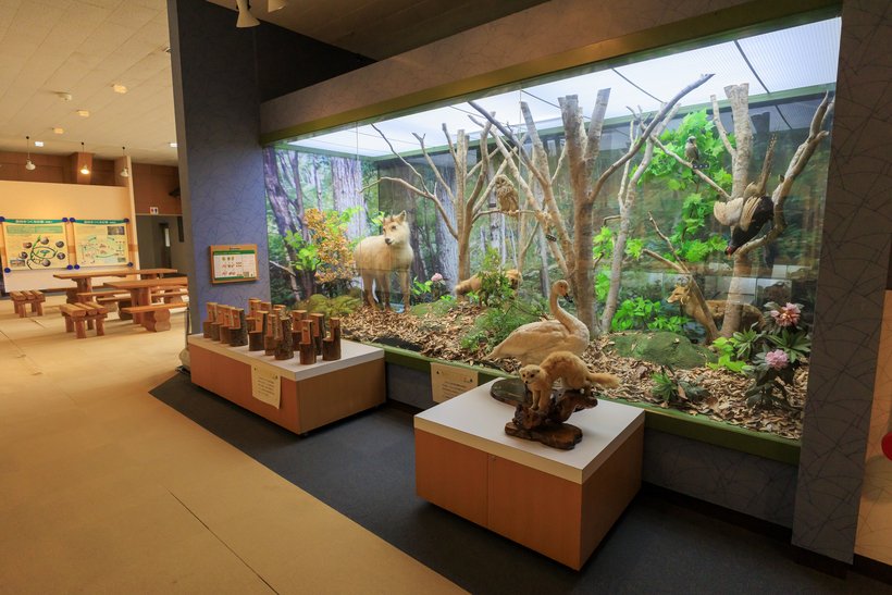 F　11-1_フォレストパーク ootama191.jpg