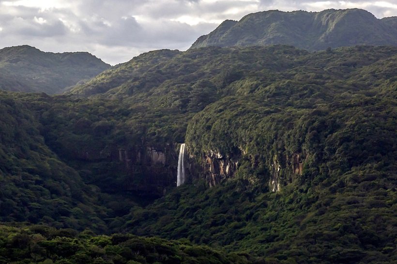 冬の西表島で“学び”と癒やしの島時間を過ごす