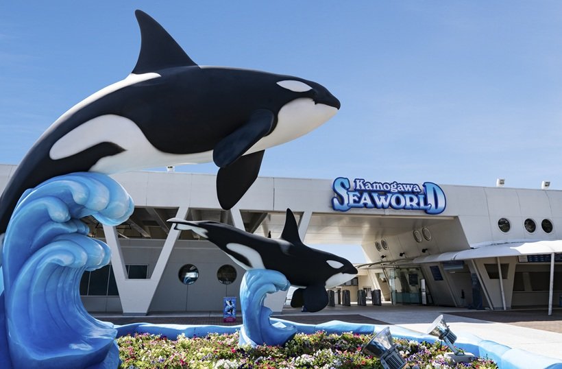 動物園🐘と水族館🐧を楽しむプロジェクトが千葉で発足