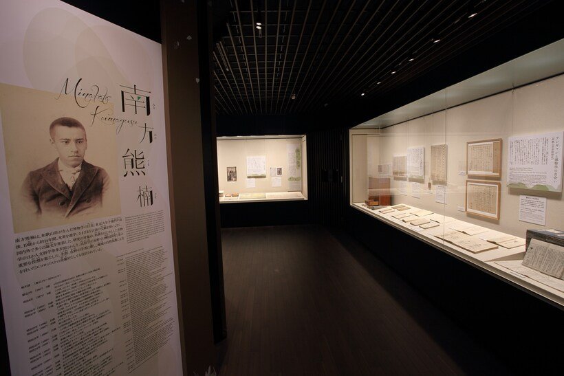 メイン右下 新館2F常設展示室3.jpg