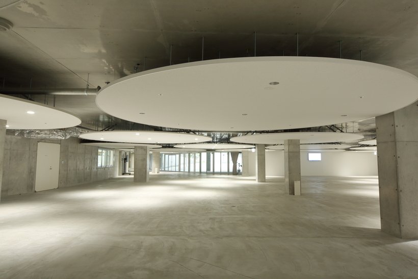 ・4_206A7335 (1).jpg