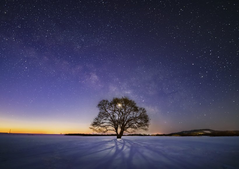 ② 180212_北海道_豊頃ハルニレの木と月と天の川_DSC9818.jpg