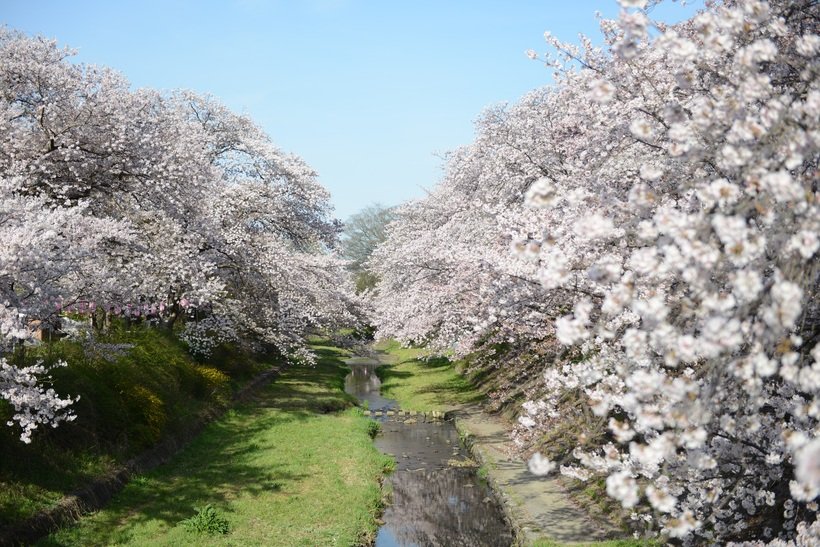 JR奈良線で行く　京都伏見・山城鉄道旅（2）