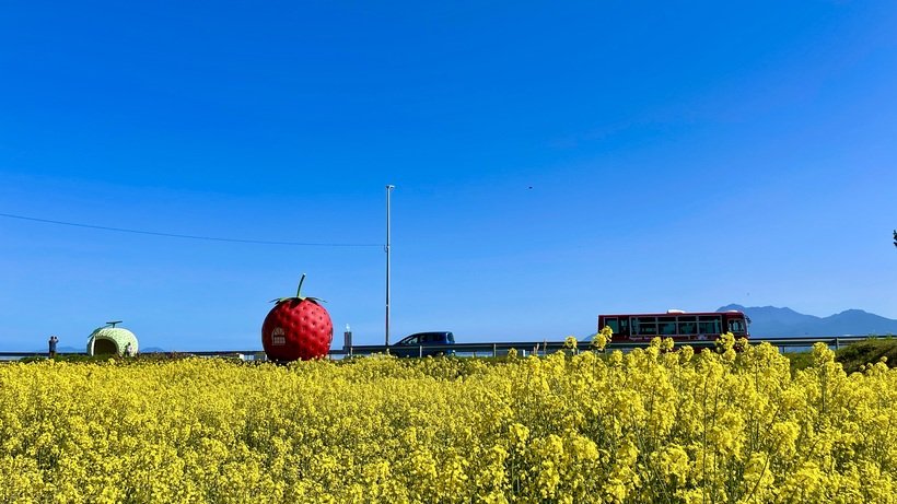 PH5 No.2_【表紙】イチゴメロン(バス).jpg