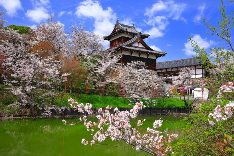 【天下取りの城へ】大和大納言と仰がれた秀長の知略に満ちた100万石の城　郡山城（2）