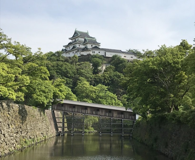  【天下取りの城へ】紀州徳川家へとつながる平山城　和歌山城