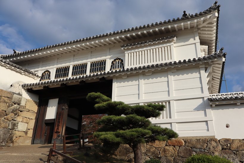 右下 3 菱の門.jpg