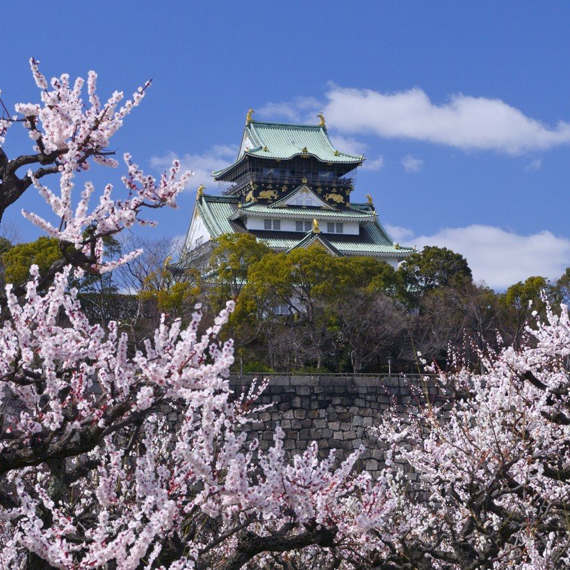 【天下取りの城へ】埋められていた石垣を公開、豊臣の城の面影を探して　大阪城（2）