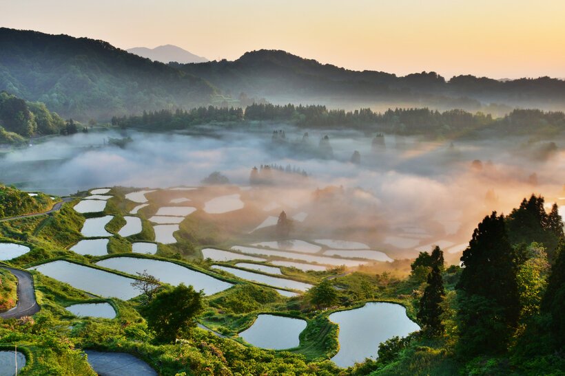 山笑い、人笑う　里山の春＜新潟・十日町市＞