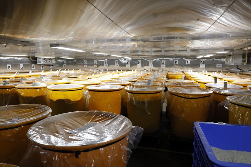 プクプクと菌が活動する音が響く発酵室