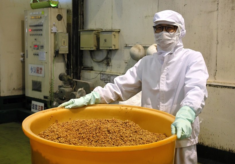 麹菌の付いた麦を発酵室へ（小川屋味噌店）