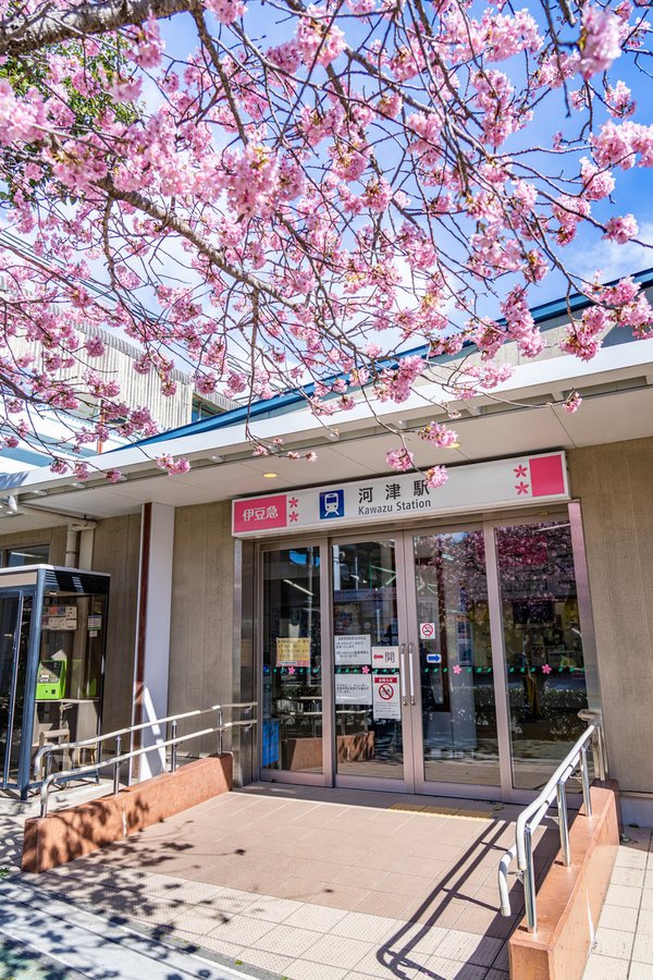 3 pixta_74957536_M.jpg