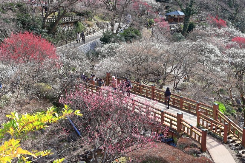 5 pixta_119389823_M.jpg