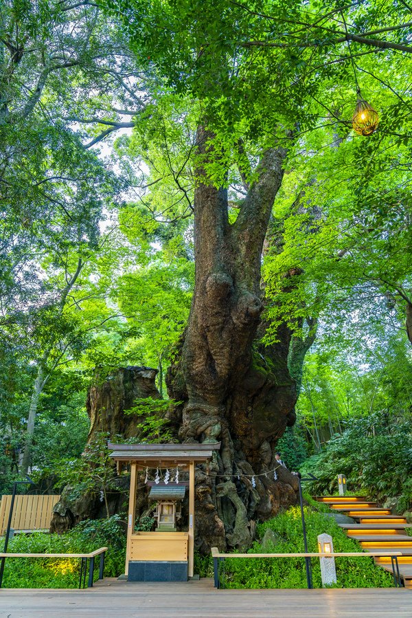 6 pixta_69933945_M.jpg