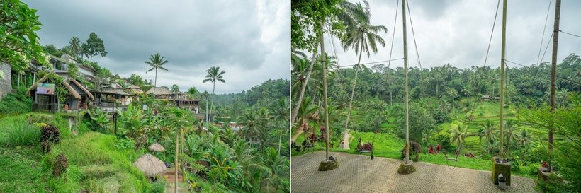 12 bali1000-horz.jpg