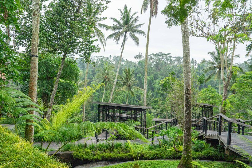 開放的なビーチリゾートと渓谷の深い森に包まれるホテル　二つの異なるバリ島滞在を楽しむ（2）