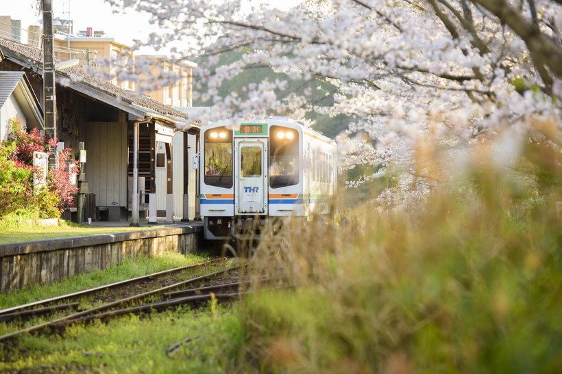 【鉄道ひとり（一人）旅】早春の富士山や沿線の花々を眺め、「鉄印帳 東海エリア版」6社を巡る＜伊豆箱根鉄道－岳南電車－ 静岡鉄道－天竜浜名湖鉄道 －遠州鉄道－大井川鐵道＞