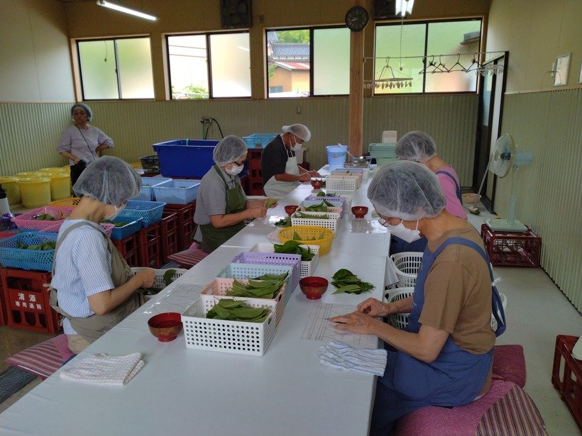 3 選別加工風景.jpg