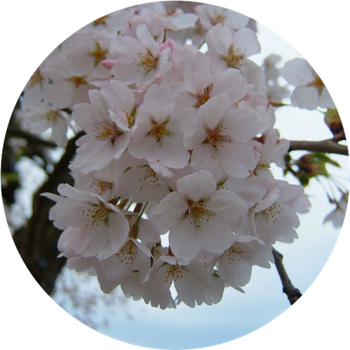 6 qquvDO1iXyrF1kp1773364434_1773364454.png