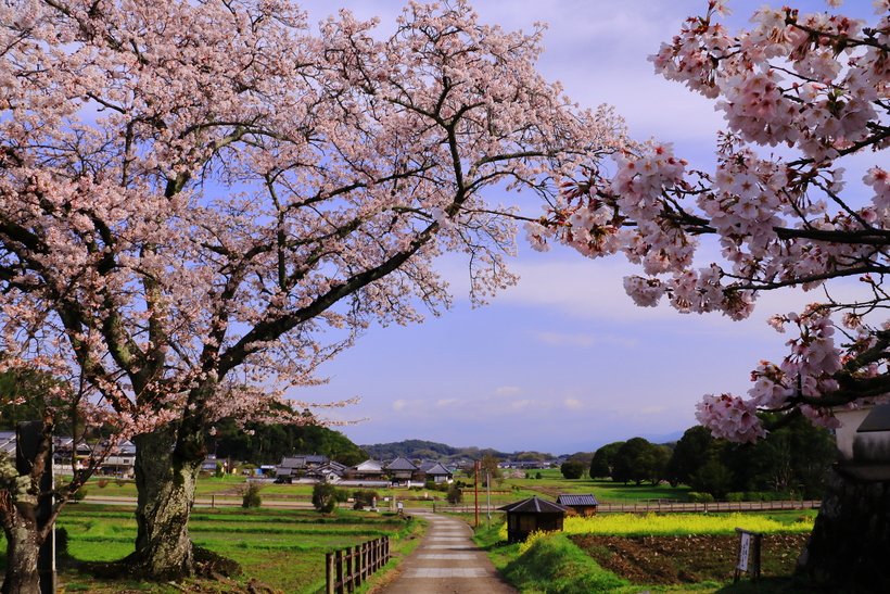 【歩く旅】謎の石造物や宮殿跡を繋ぐ道で日本の始まりに想いを馳せる＜明日香＞（1）