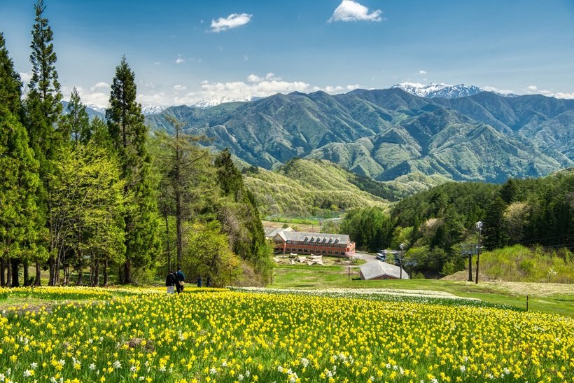 絶景、花、味覚　みなかみ春めぐり