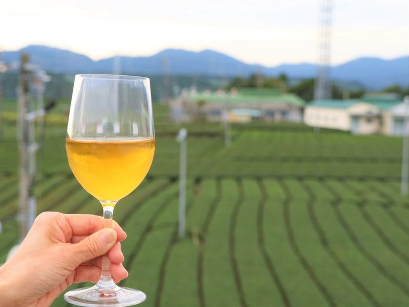 3_ふじの国_ティーテラス体験(ワイングラスタイプ).jpg