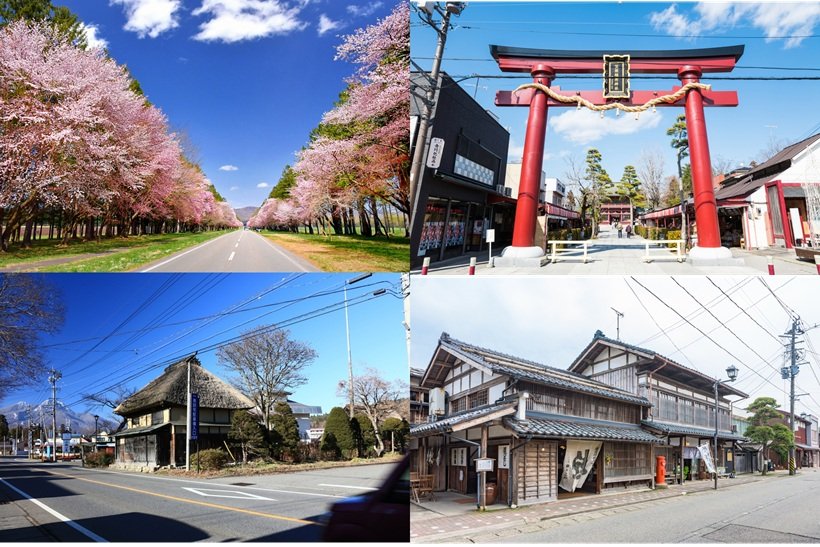 【歩く旅】東日本の美しい道　4選＜二十間道路桜並木・笠間・信濃町・村上＞