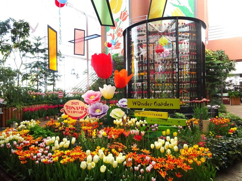 10.チューリップ四季彩館.jpg