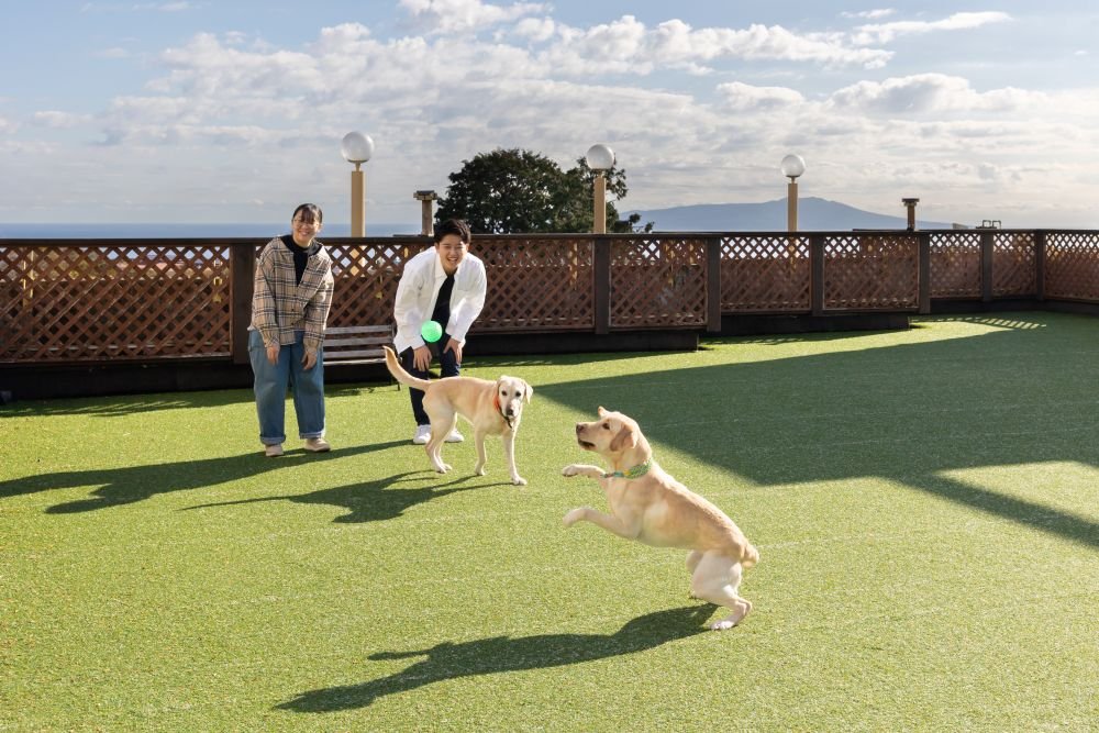 Yu-Furi Izukogen_Facility_DogPark_紺碧_TravelImage_04 - コピー.jpg