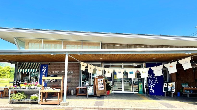 12.かつお小.jpg