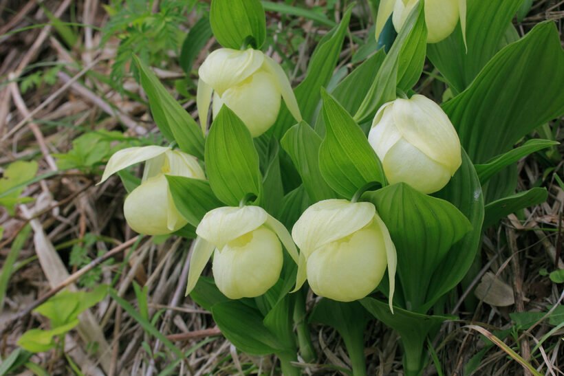 2-2　３－１　photo_024.jpg