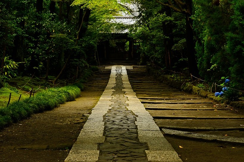 旅よみ　俳壇　旅行読売2026年8月号