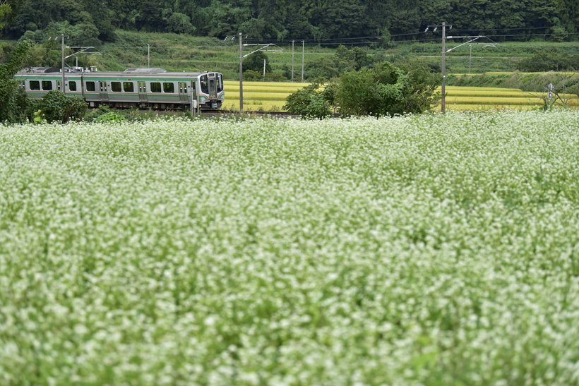 【お得きっぷで鉄道旅】東北６県をぐるりと周遊　夏に食べたい名物麺を訪ねて（2）～仙台発◎青春18きっぷ3日間～