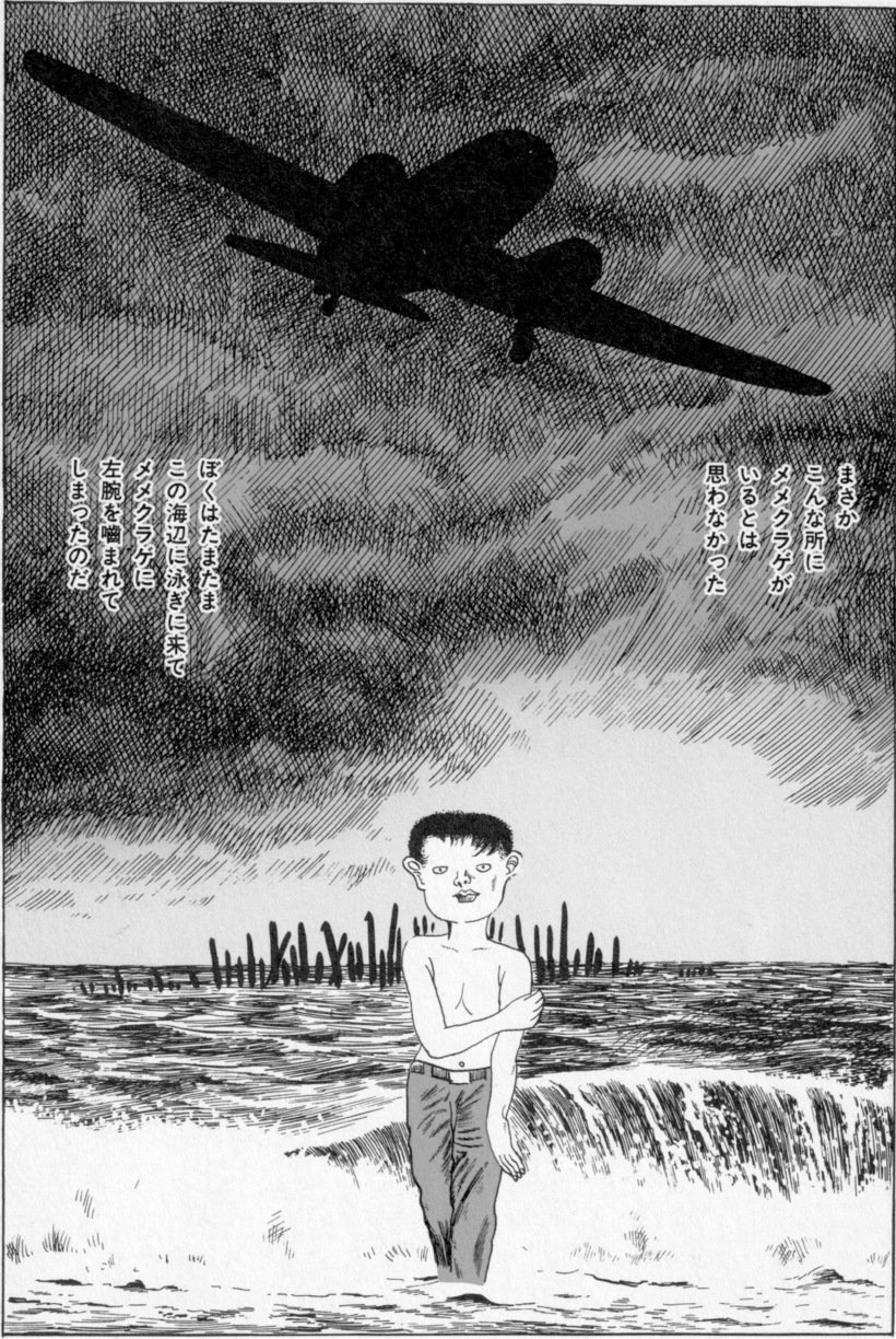 ③繧ォ繝・ヨ・上・縺励y蠑擾シ.jpg