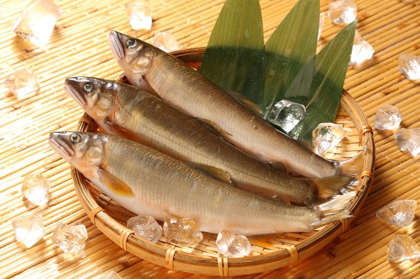 清流・高津川の天然鮎を味わう！　航空券などが当たるキャンペーンを実施