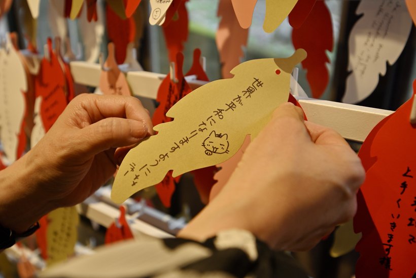 ⑬12-2_DSC0394.jpg