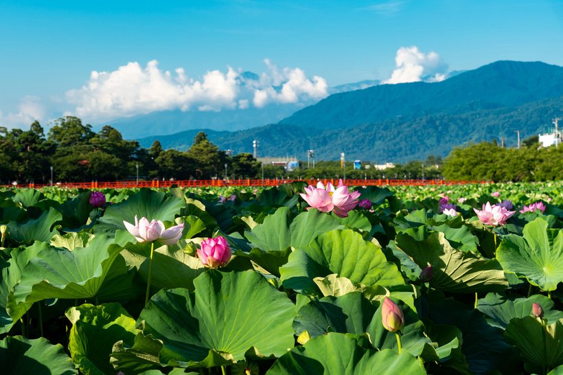 8.妙高山とはす（3）.jpg